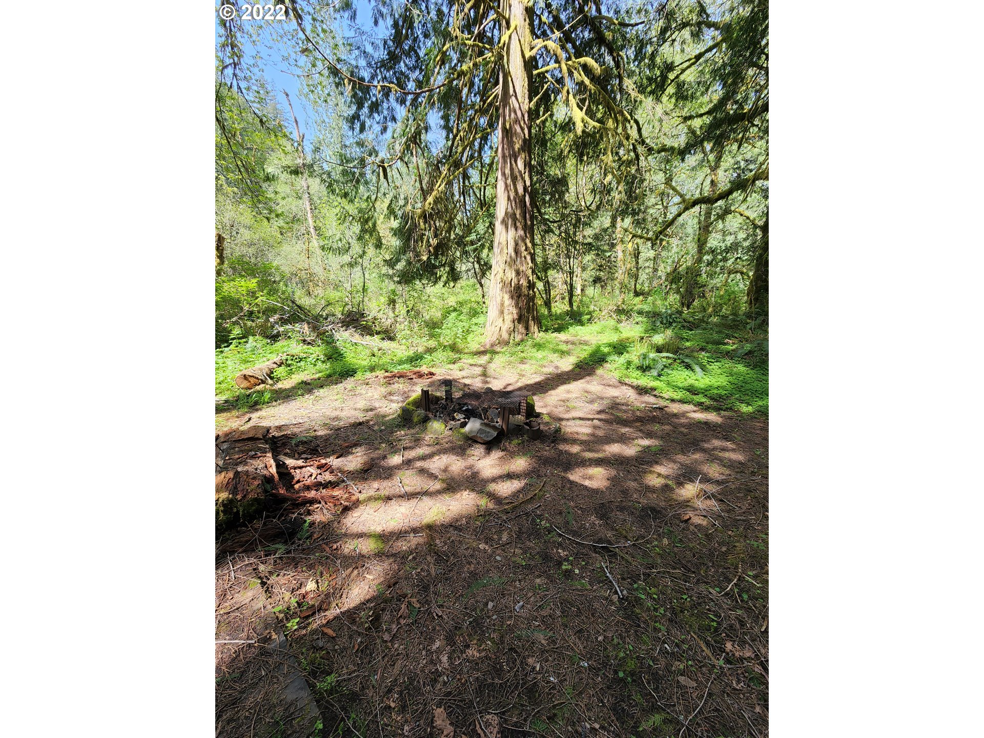  Baker Rd, Ariel, WA 98603