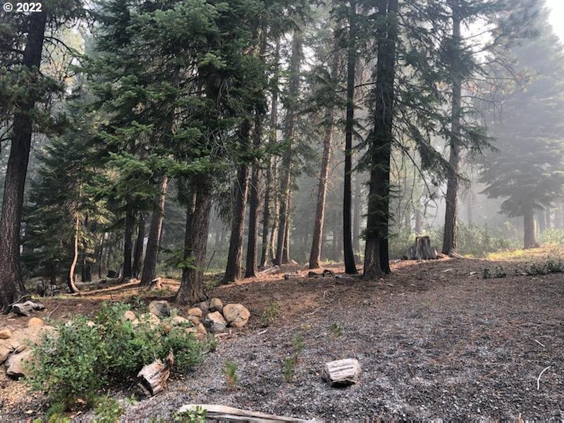 Finding the Right Home Crescent Lake Realty, LLC