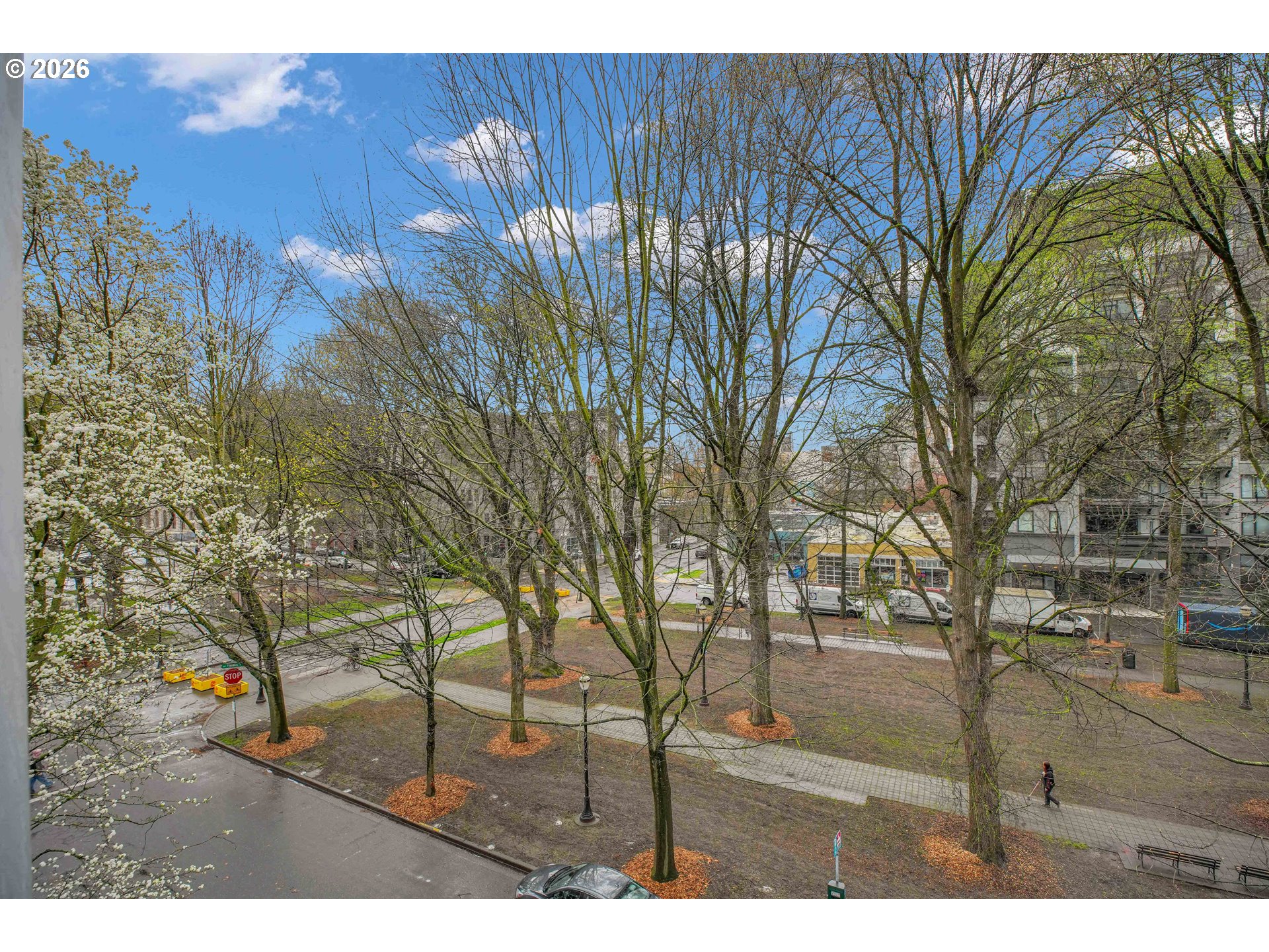 Photo #21: 225301041 Listing: Photo #21