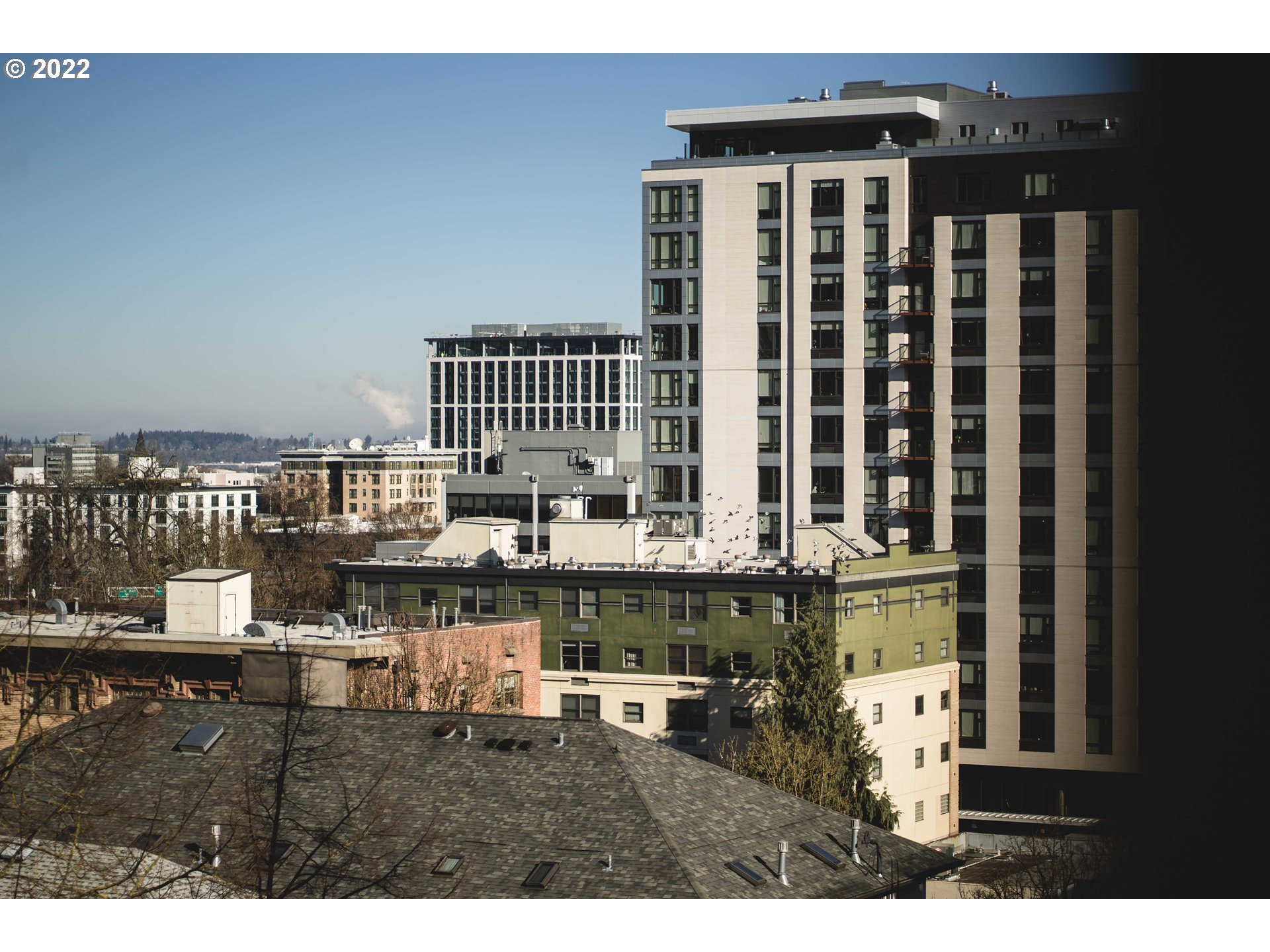 Photo #6: 22548138 Listing 