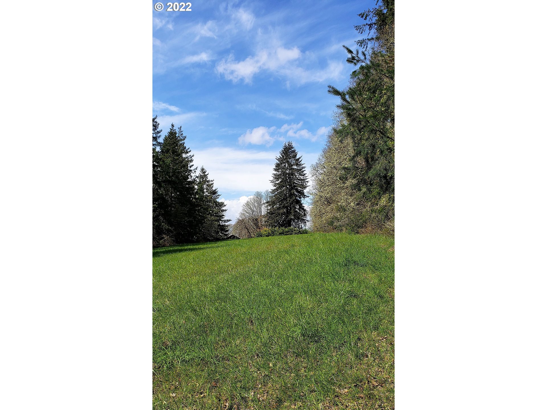 NE 279th St #3, Battle Ground, WA 98604