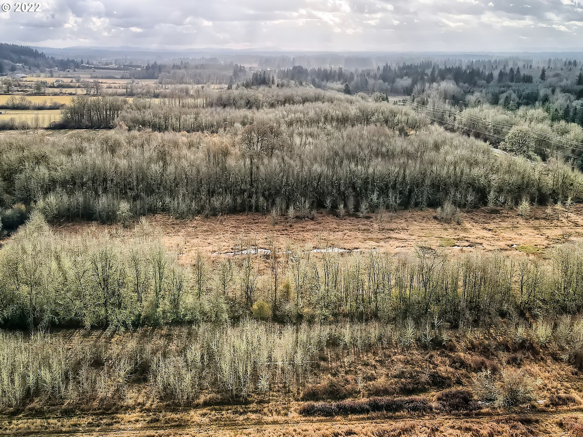 NE 172nd Ave, Brush Prairie, WA 98606