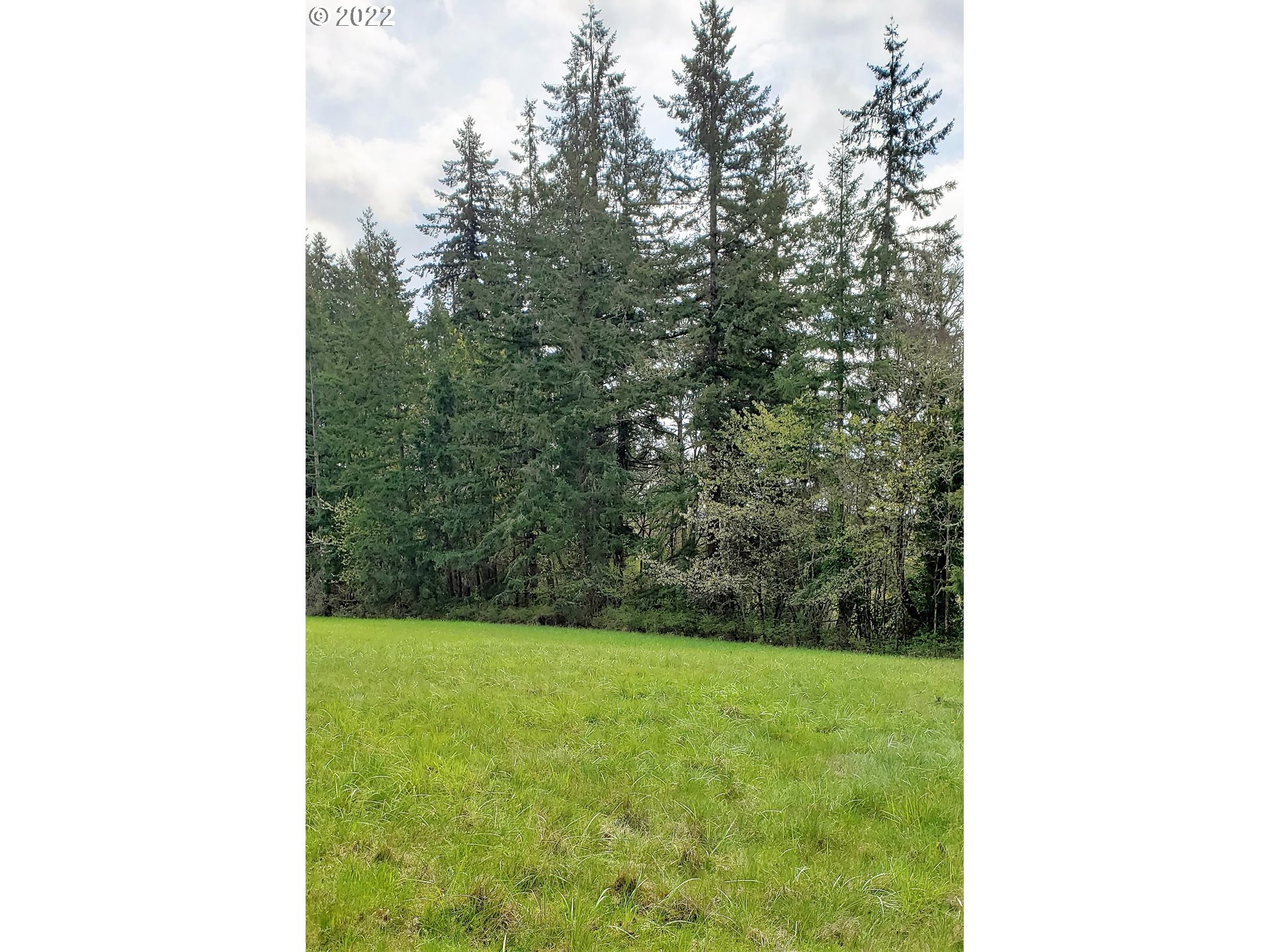 NE 279th St, Battle Ground, WA 98604