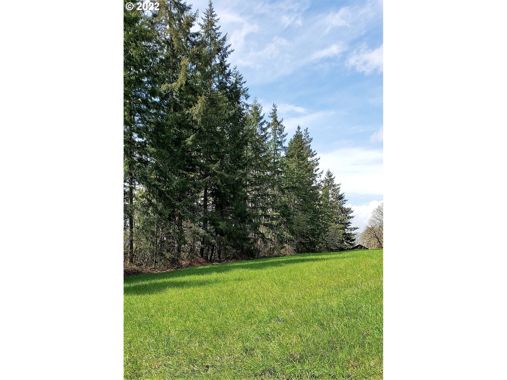 NE 279th St, Battle Ground, WA 98604