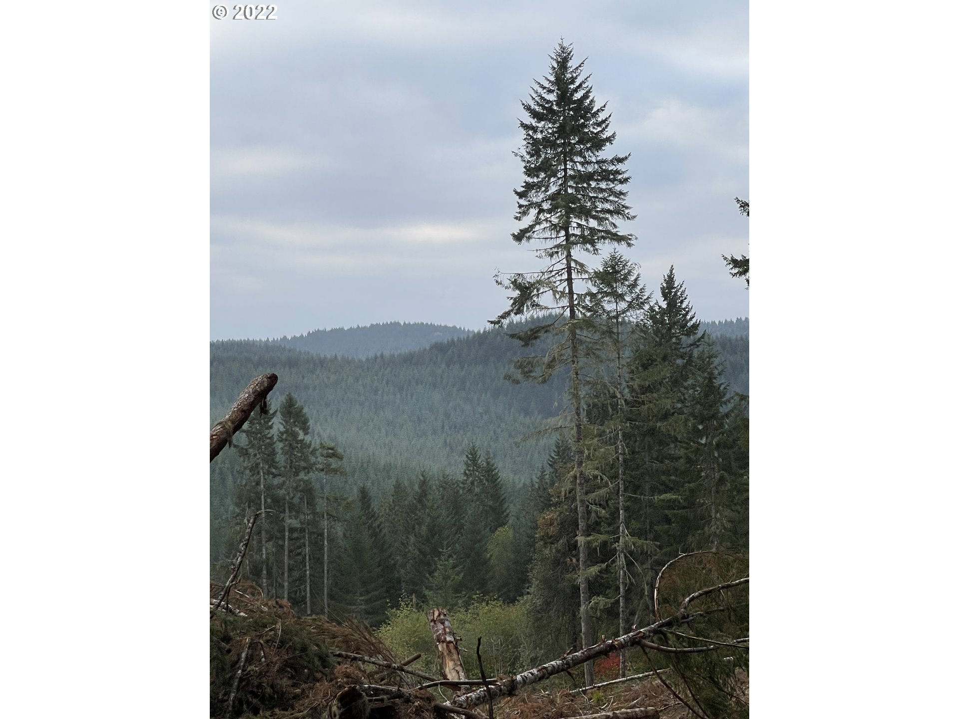 Amazing views from upper end of property! Backs to BLM. Some benches in rolling slope. Recently logged with remaining perimeter boundaries and approximately 2 acres along roadway of alder and fir mix ranging in size--some at 70 year growth. Two springs with seasonal small ponds. No permits or utilities. Power along Wolf Creek Rd. Buyer's due diligence regarding county requirements/zoning.