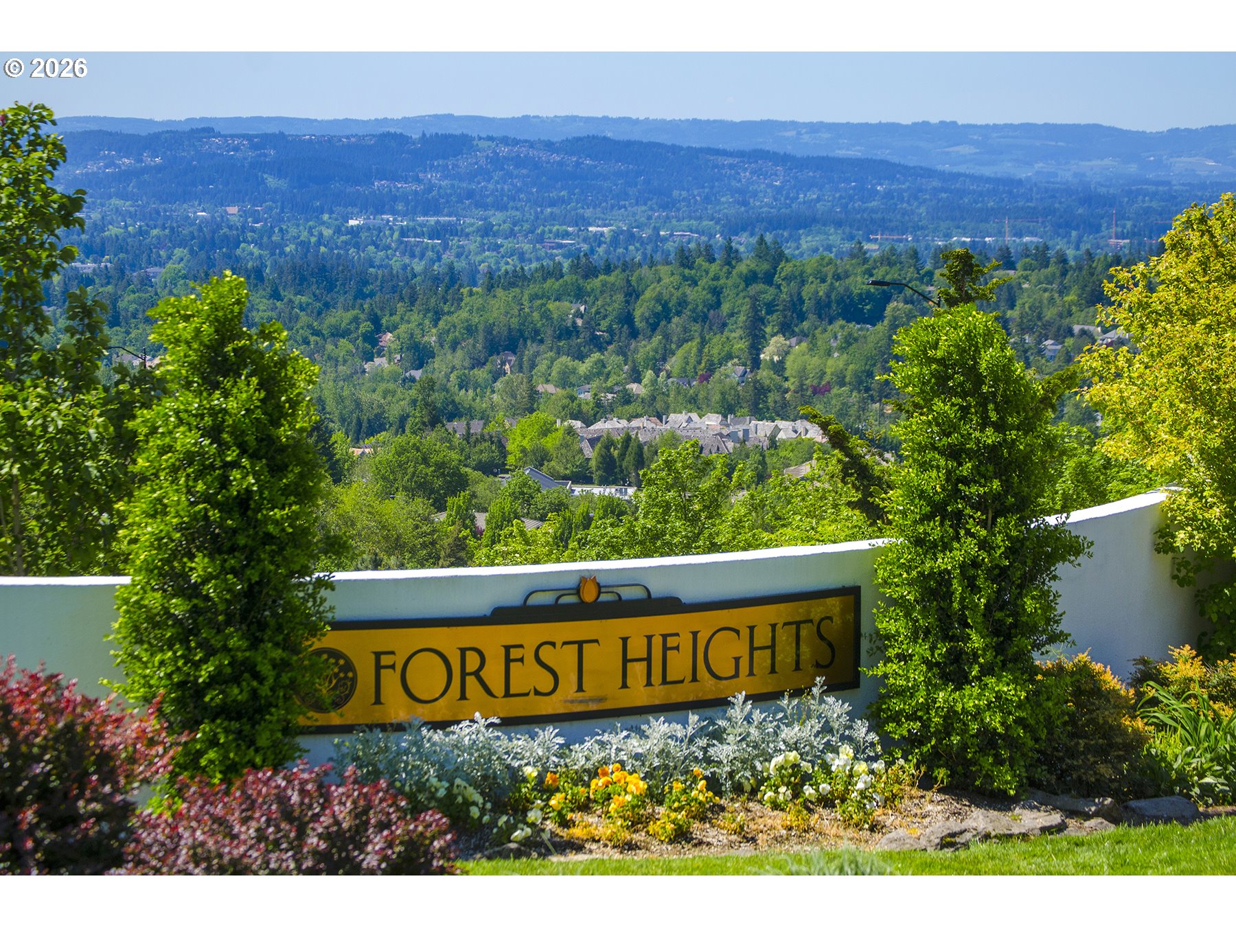 Photo #43: 226348908 Listing: Photo #43