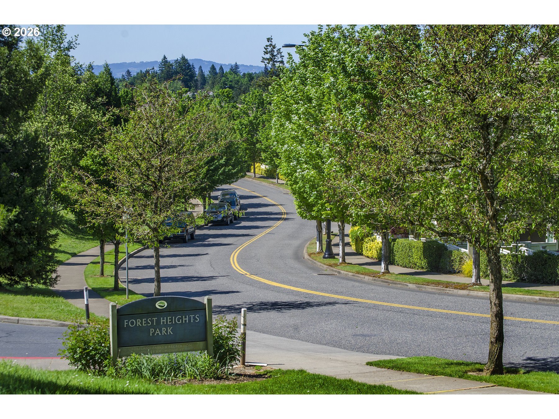 Photo #44: 226348908 Listing: Photo #44