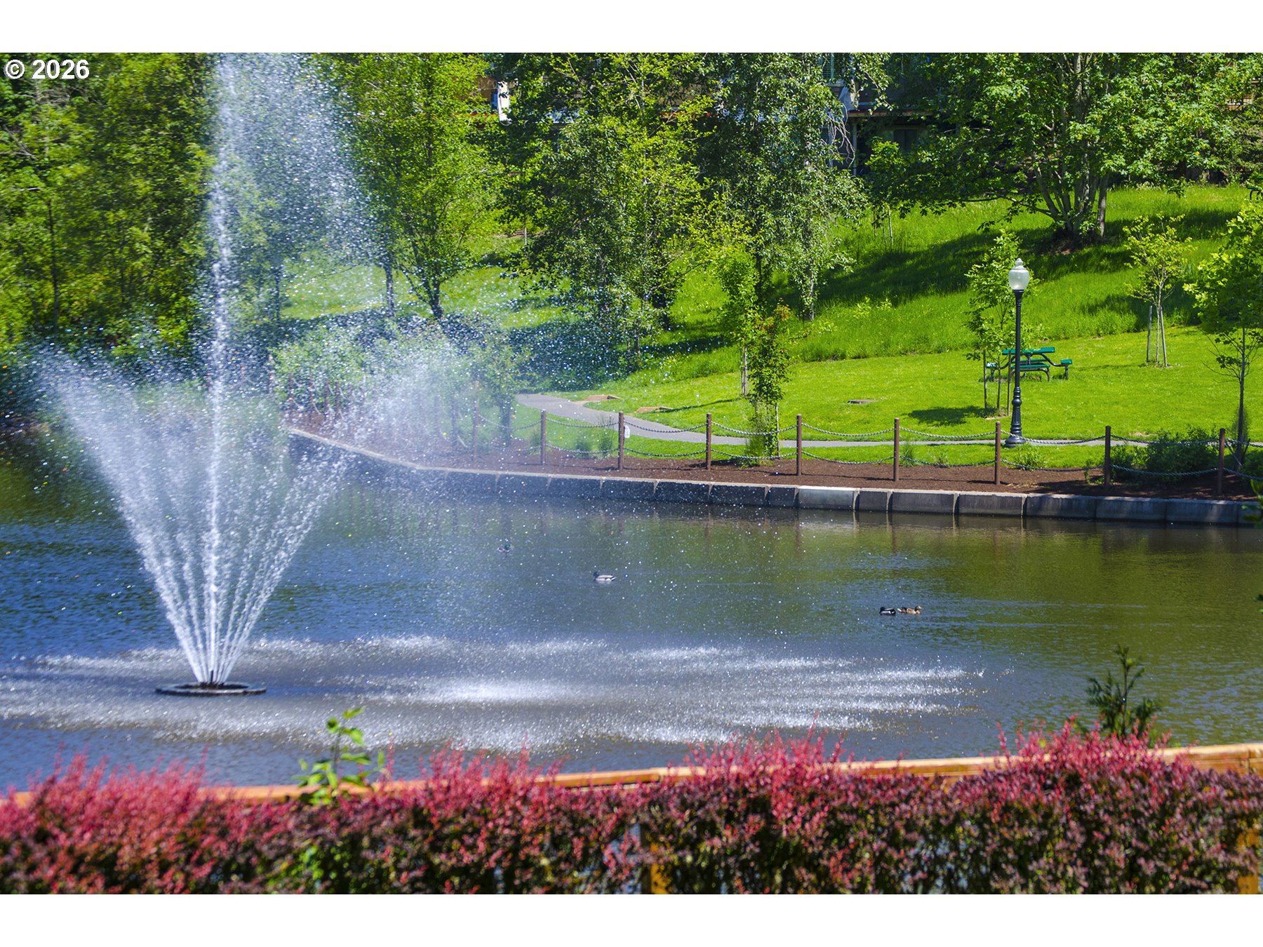 Photo #45: 226348908 Listing: Photo #45