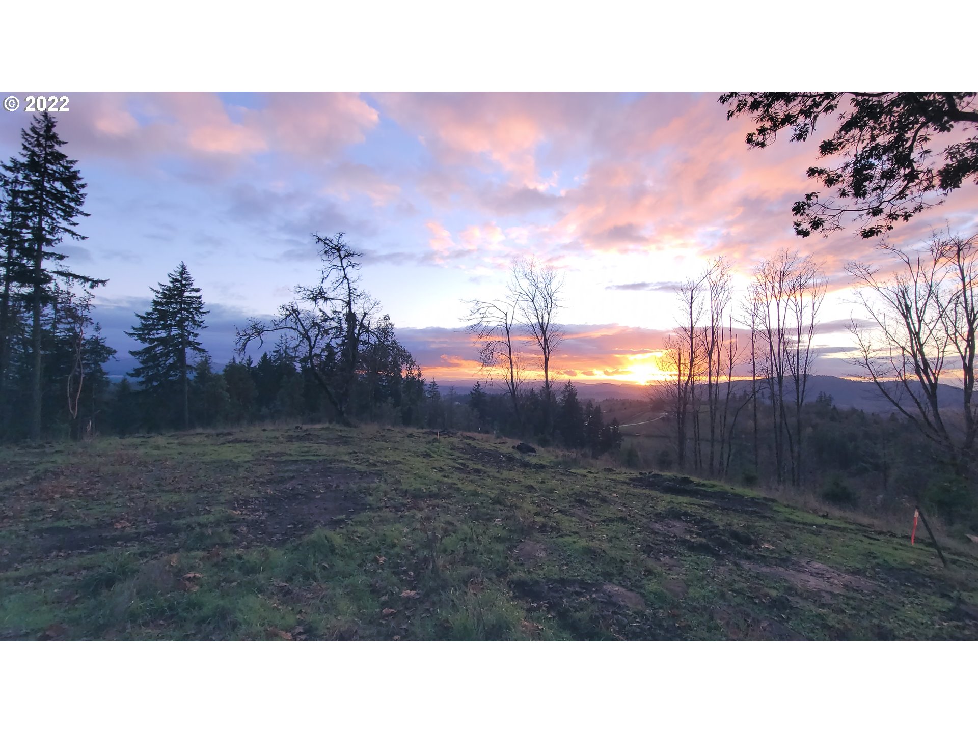 Private Mountain Top Home-site! This 10.2-acre property has spectacular valley views & is ready to build! Gravel home-site pad in, septic approval, power at lot line, and a well already installed. Conditional use permit allows for residential dwelling. Wooded setting with wildlife. Secluded private road with upscale homes. 15 mins to Eugene. Build your dream on this mountain view property!