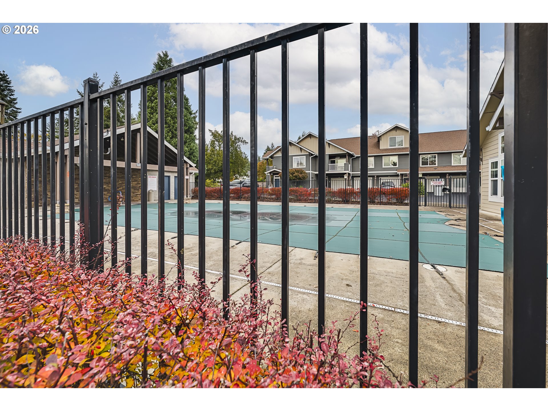 Photo #3: 226512474 Listing: Photo #3