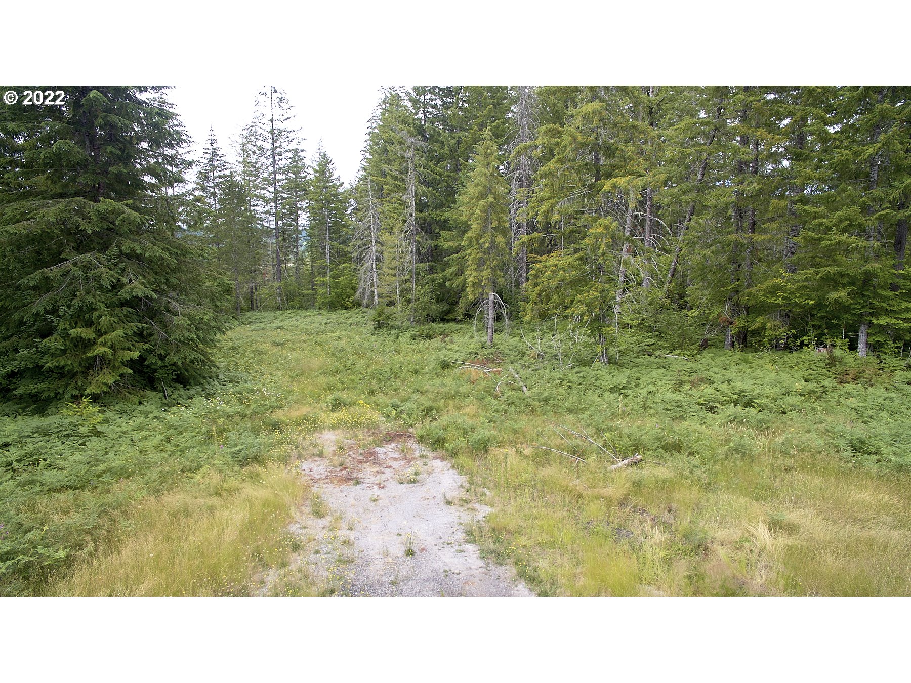 Photo of 1 Lahar LN Cougar WA 98616