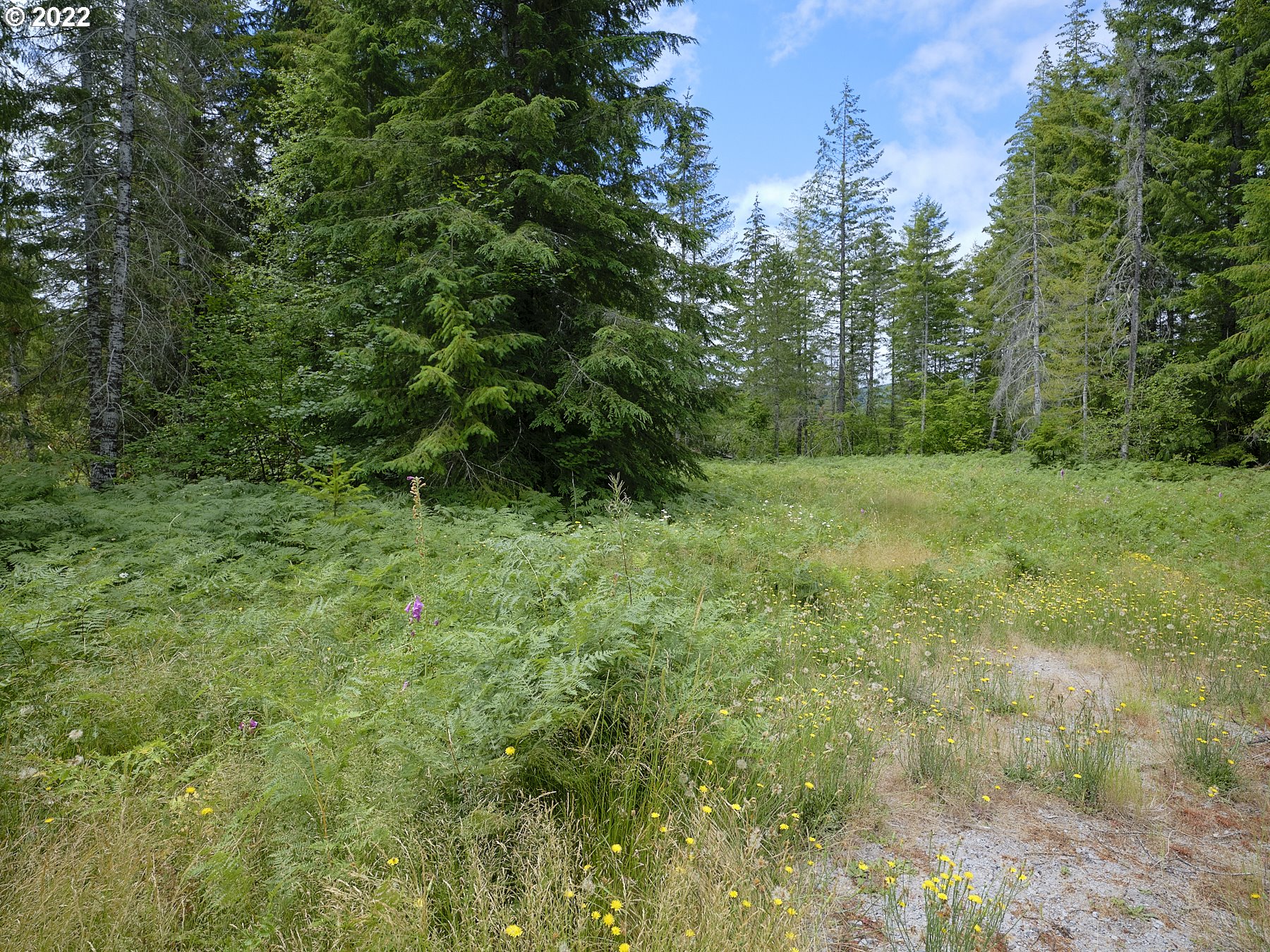 1  Lahar Ln, Cougar, WA 98616