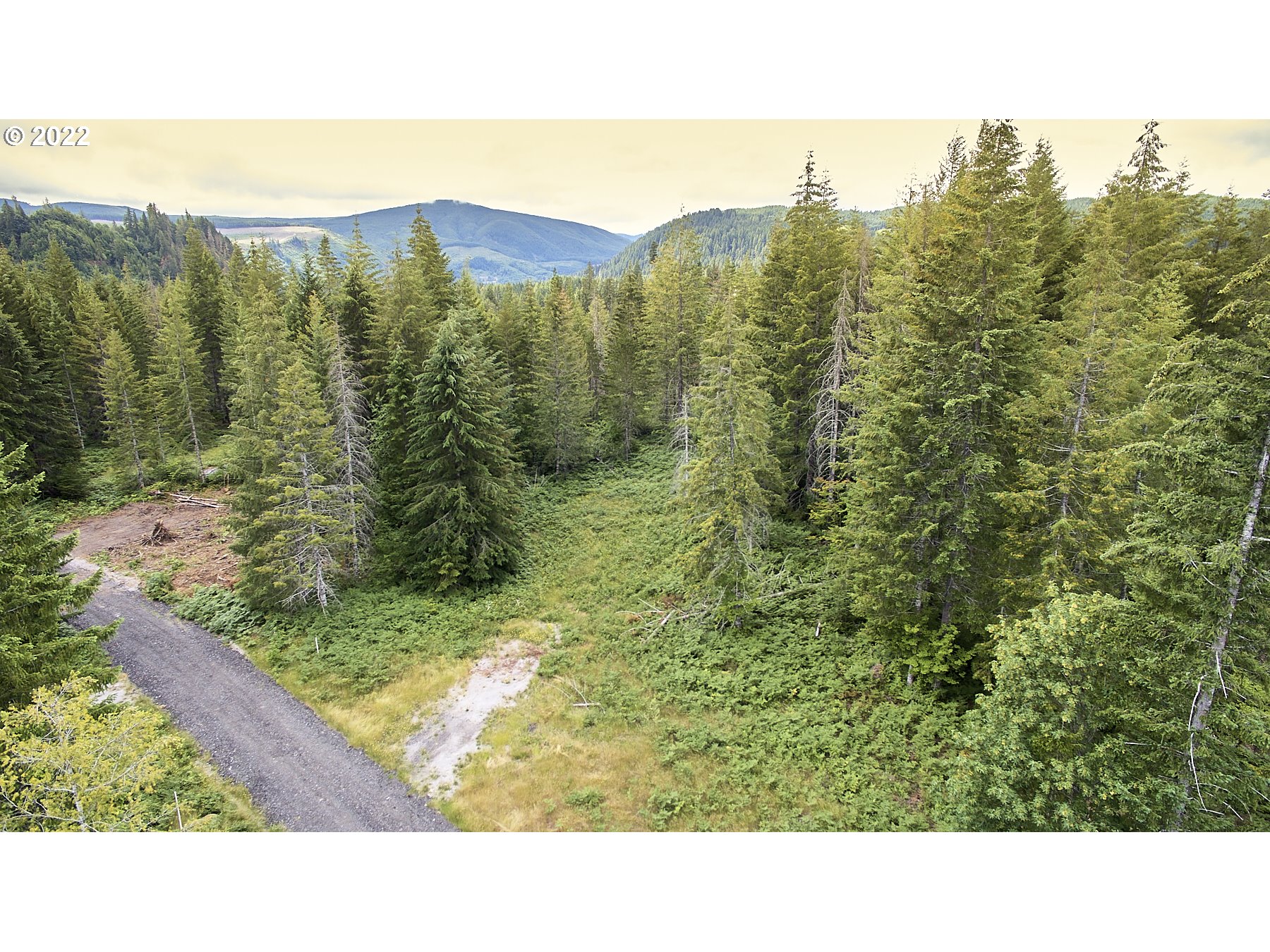 1  Lahar Ln, Cougar, WA 98616