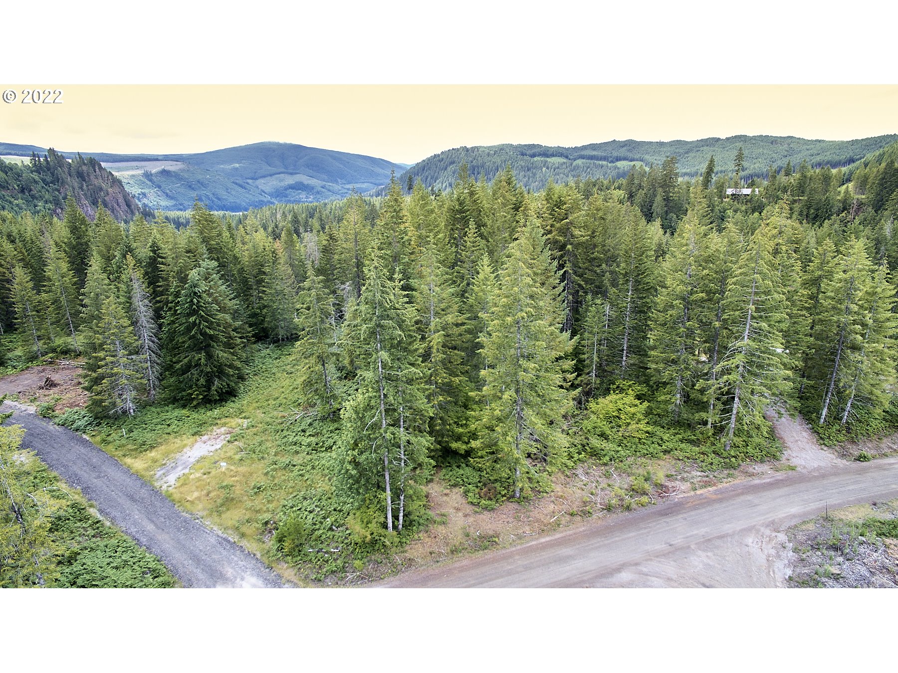 1  Lahar Ln, Cougar, WA 98616