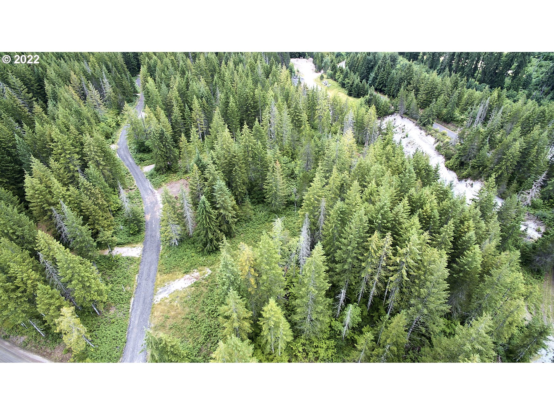 1  Lahar Ln, Cougar, WA 98616