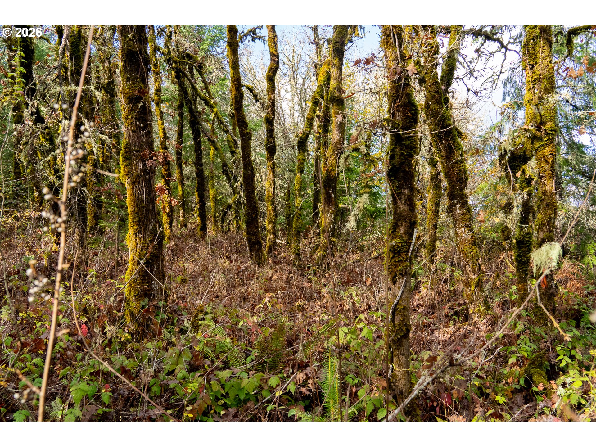 0 Mistletoe DR, Dallas, OR, 97338
