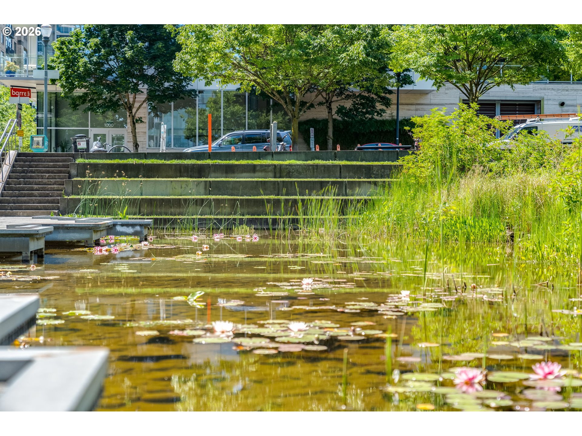 Photo #46: 226820163 Listing: Photo #46