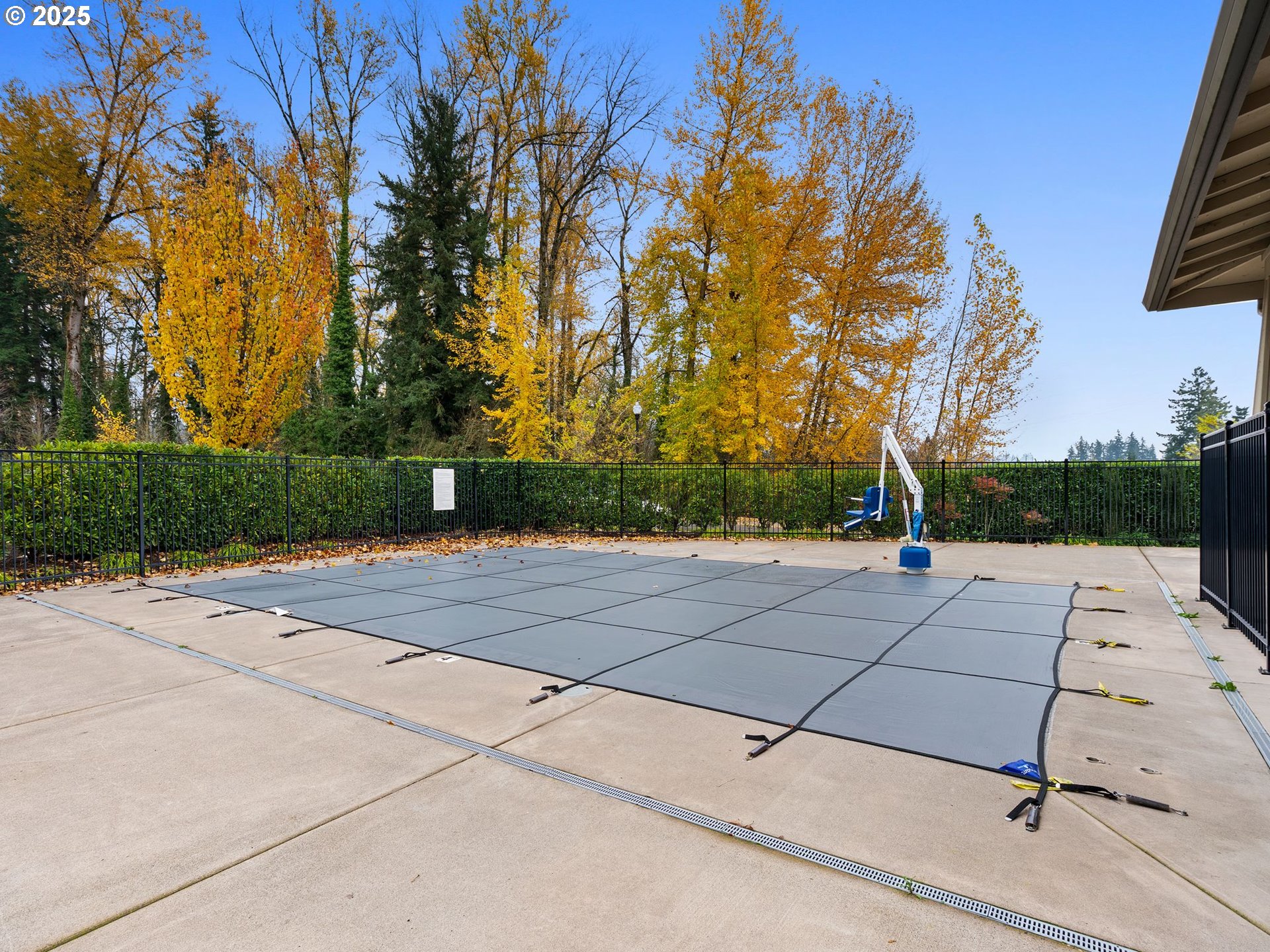 Photo #31: 227547727 Listing: Photo #31