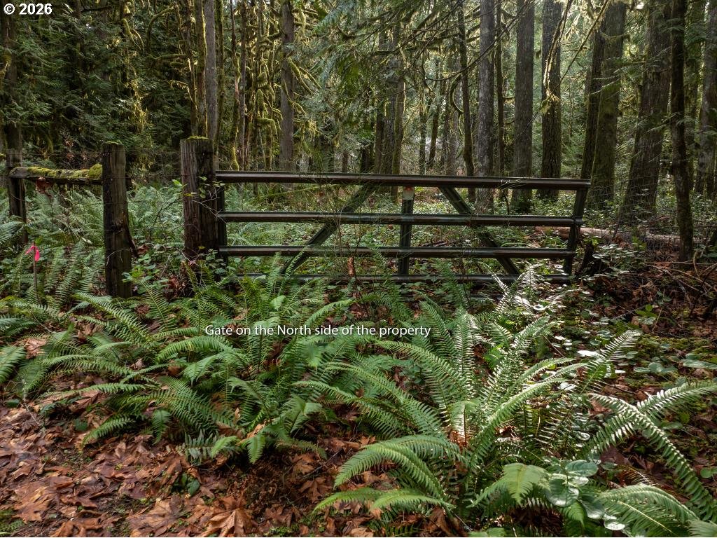 70551 E Mountain DR, Welches, OR, 97067