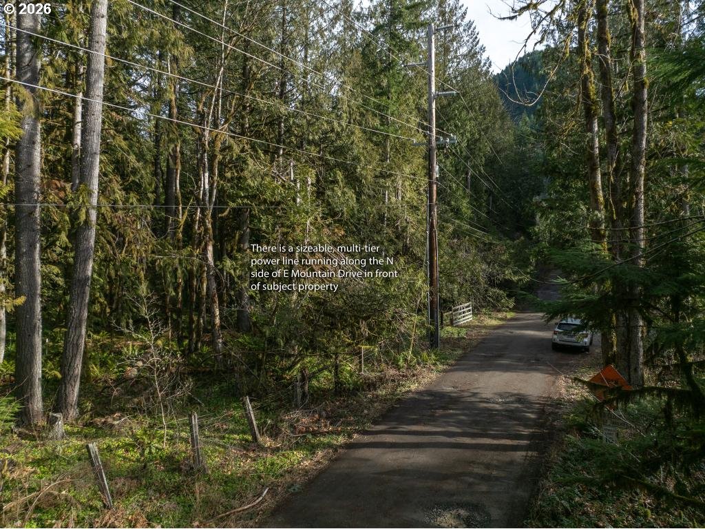 70551 E Mountain DR, Welches, OR, 97067
