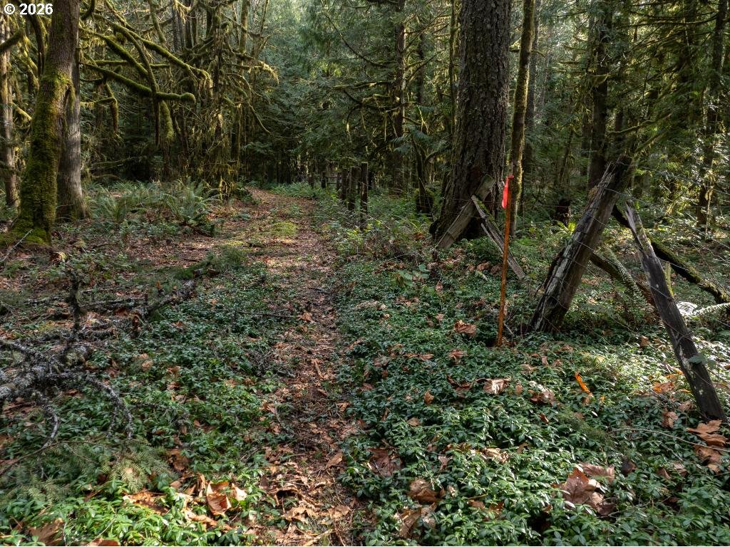 70551 E Mountain DR, Welches, OR, 97067
