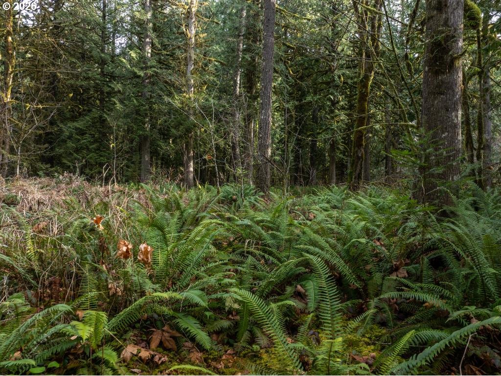70551 E Mountain DR, Welches, OR, 97067