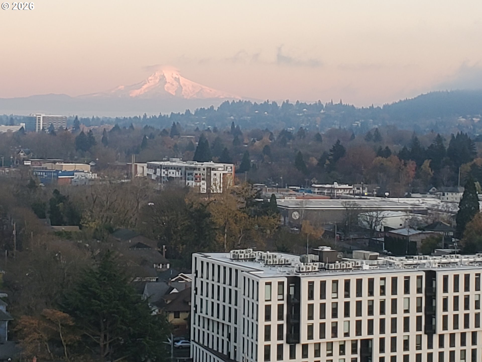 Photo #46: 228102702 Listing: Photo #46