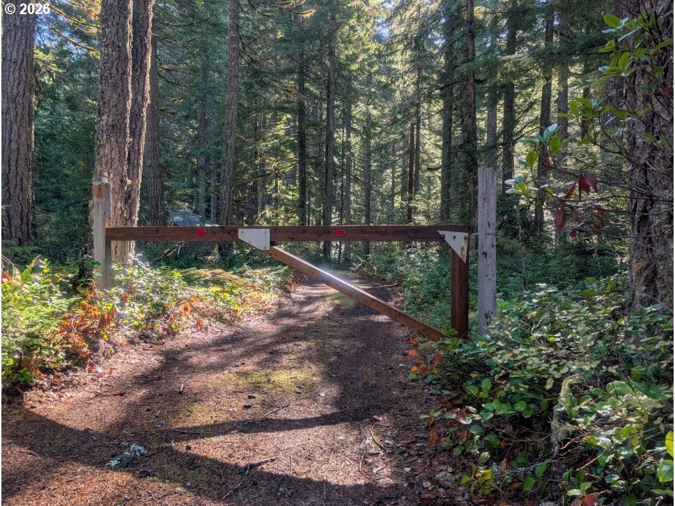78880 E RD 34 Lot 42, Rhododendron, OR, 97049