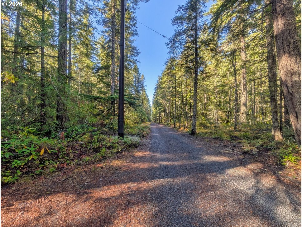 78880 E RD 34 Lot 42, Rhododendron, OR, 97049