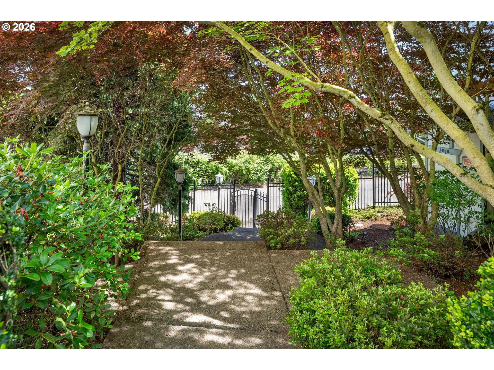 Photo #4: 229931485 Listing: Photo #4