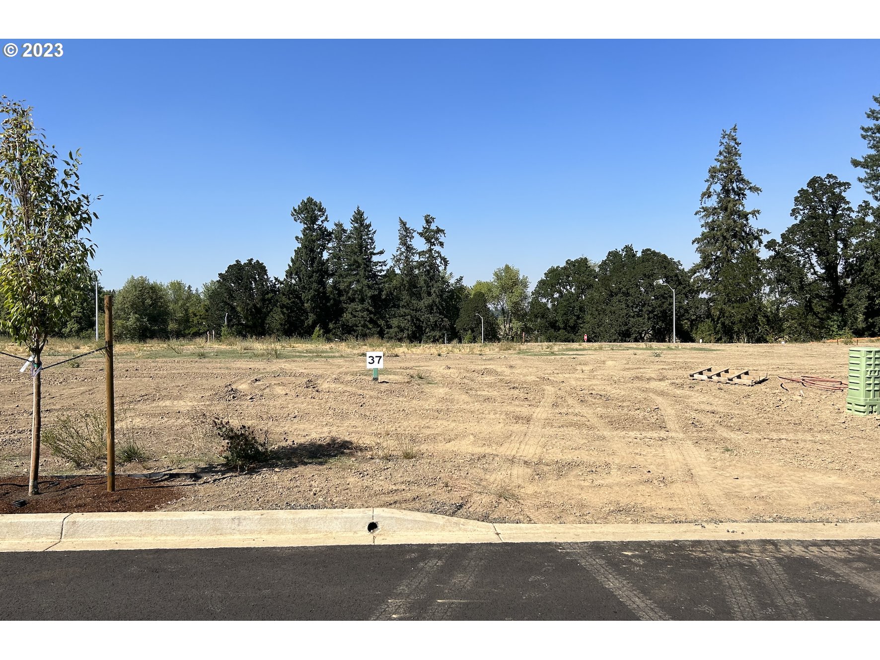 Mutts, Gold Beach, OR, 97444