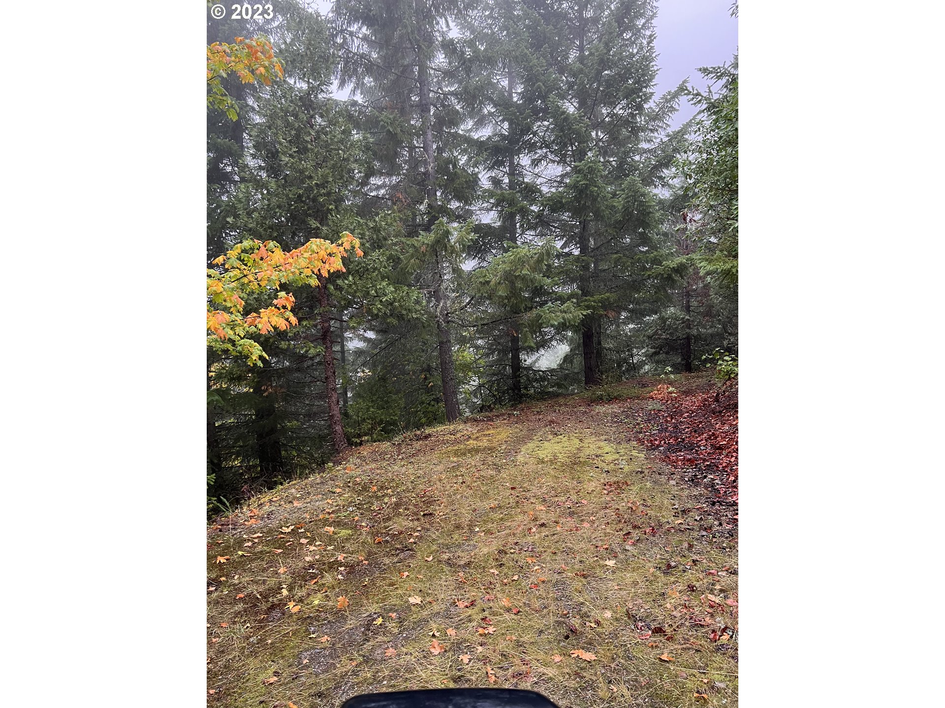 Search Homes for Sale