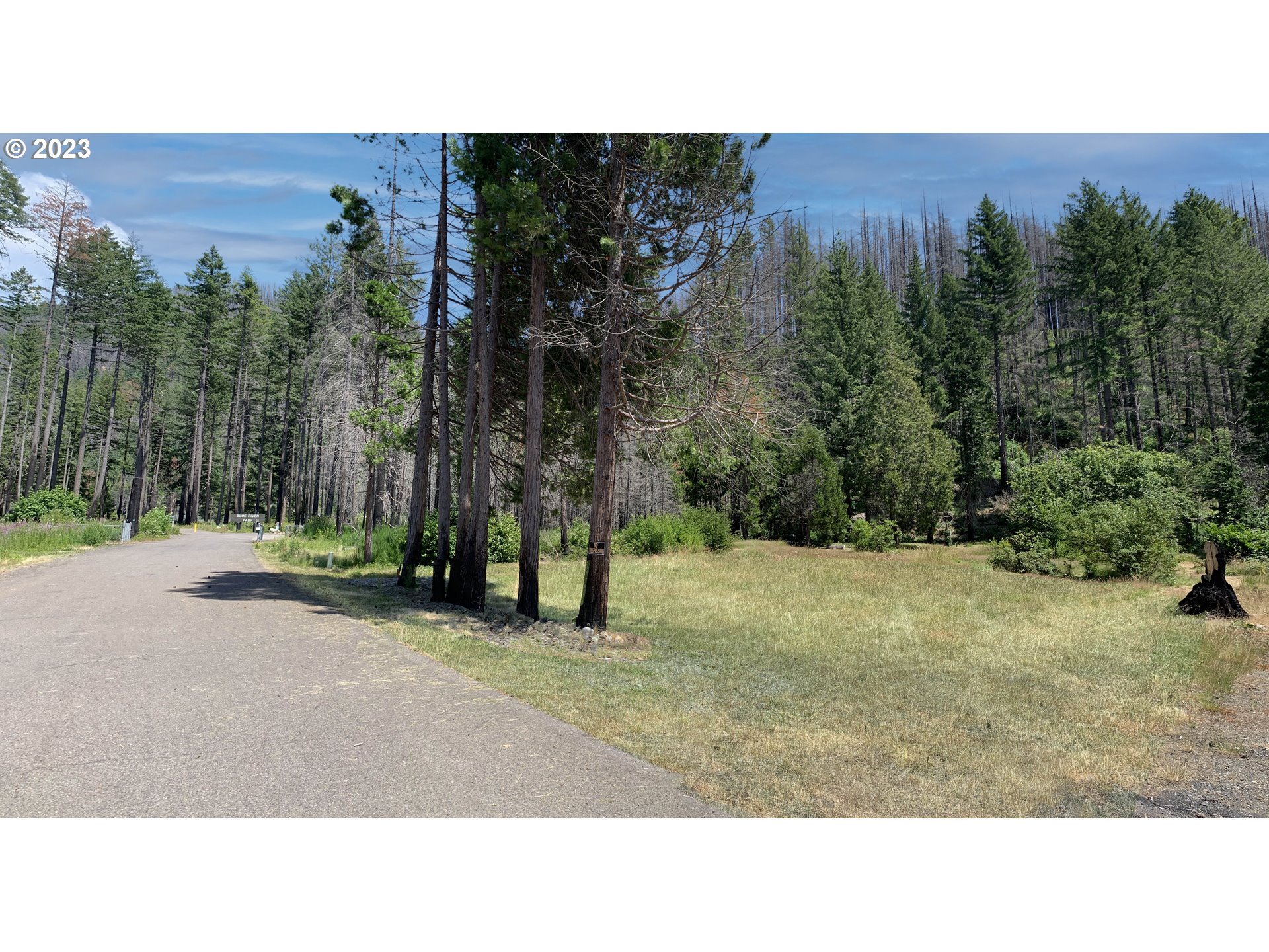 Homes for sale Rose ST 3100, Blue River, OR 97413 MLS23033328...