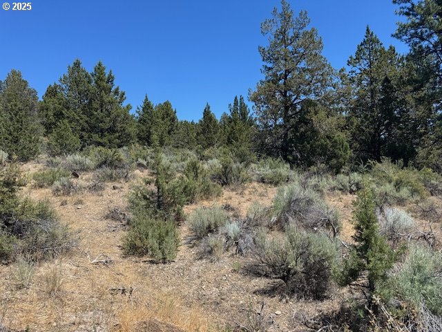 Skamania Street 8 UNIT 8, Chiloquin, OR, 97624