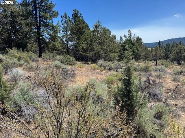 Skamania Street 8 UNIT 8, Chiloquin, OR, 97624