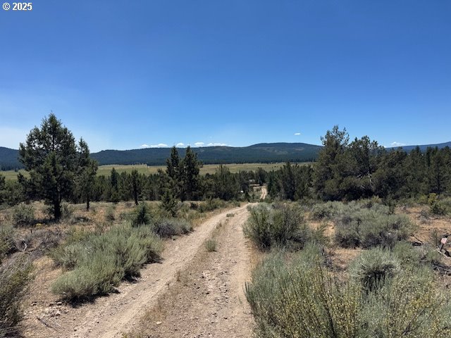 Skamania Street 8 UNIT 8, Chiloquin, OR, 97624