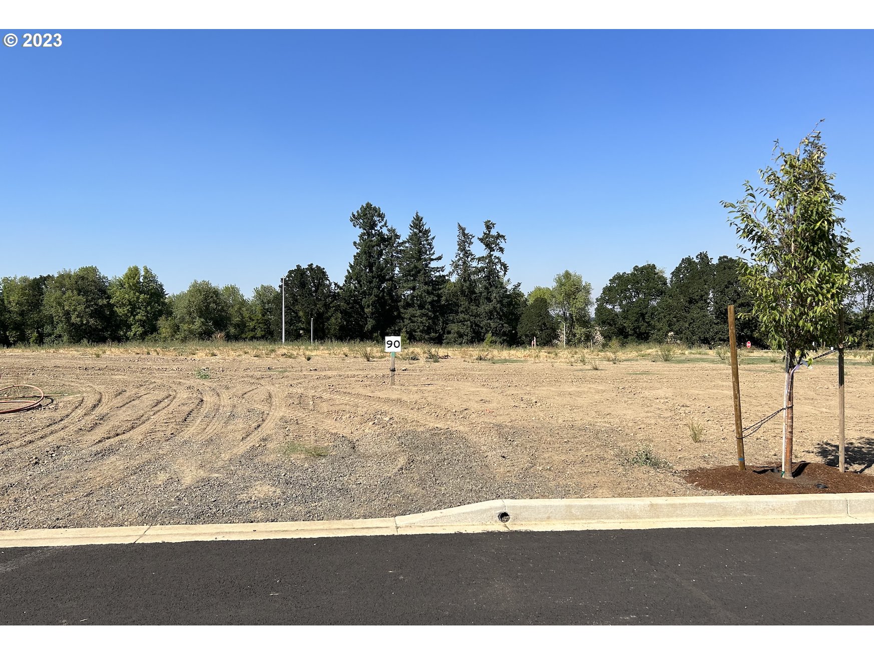 Mutts, Gold Beach, OR, 97444