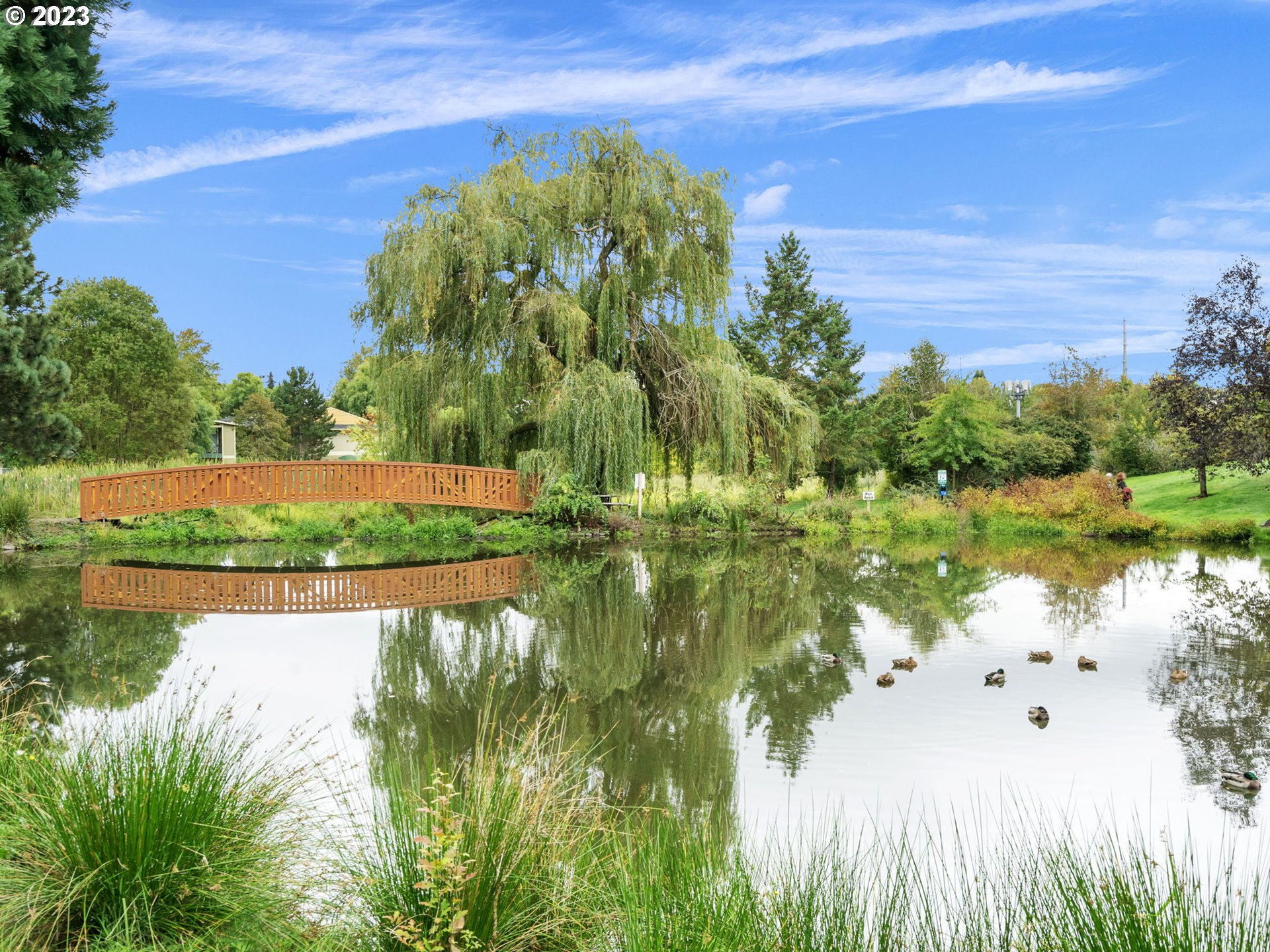 Photo #9: 23089503 Listing 
