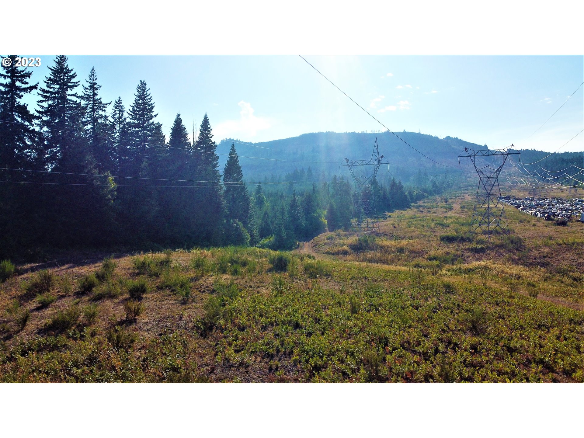  Lacock-kelchner Rd, Underwood, WA 98651