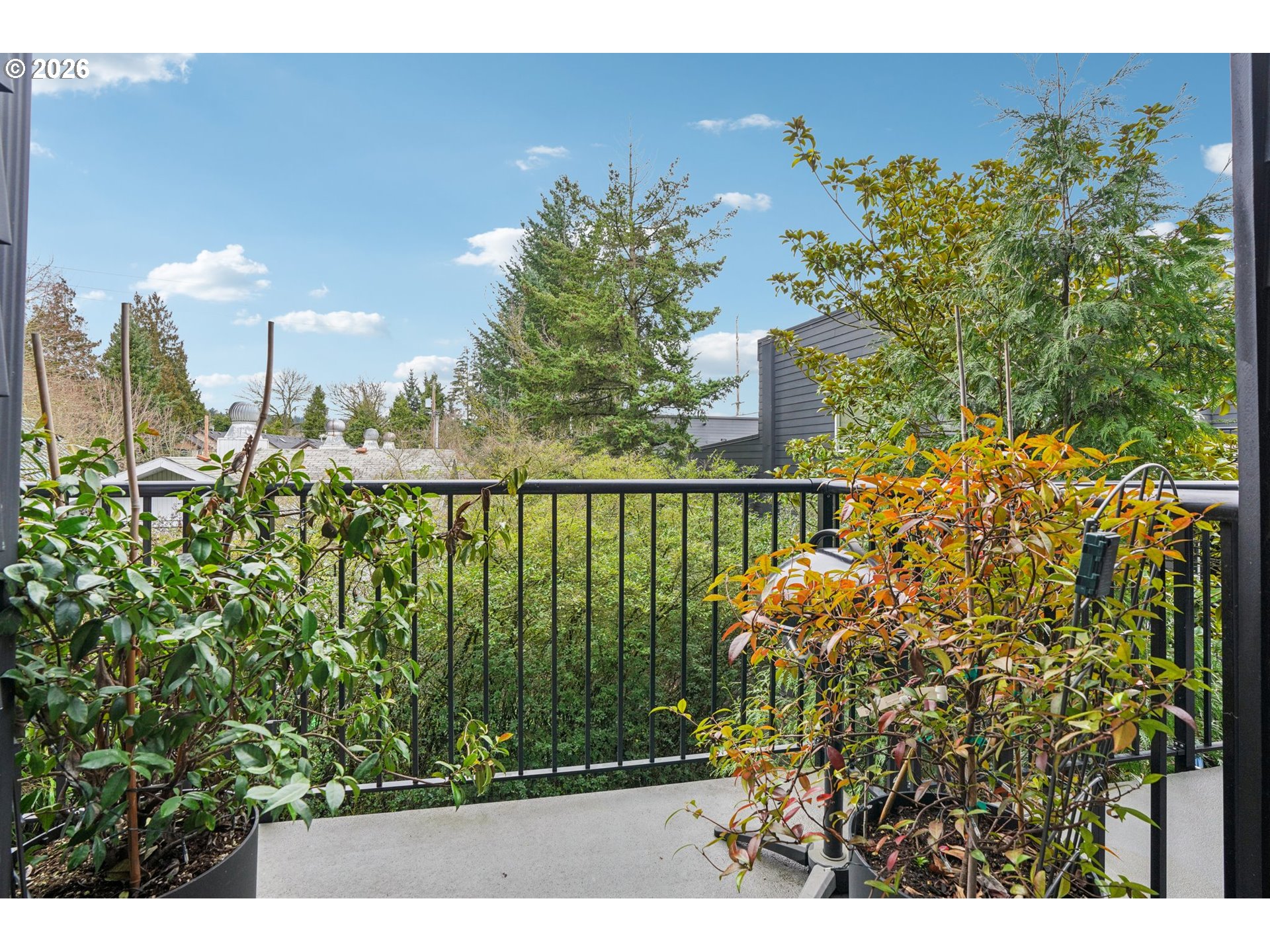 Photo #14: 231158707 Listing: Photo #14