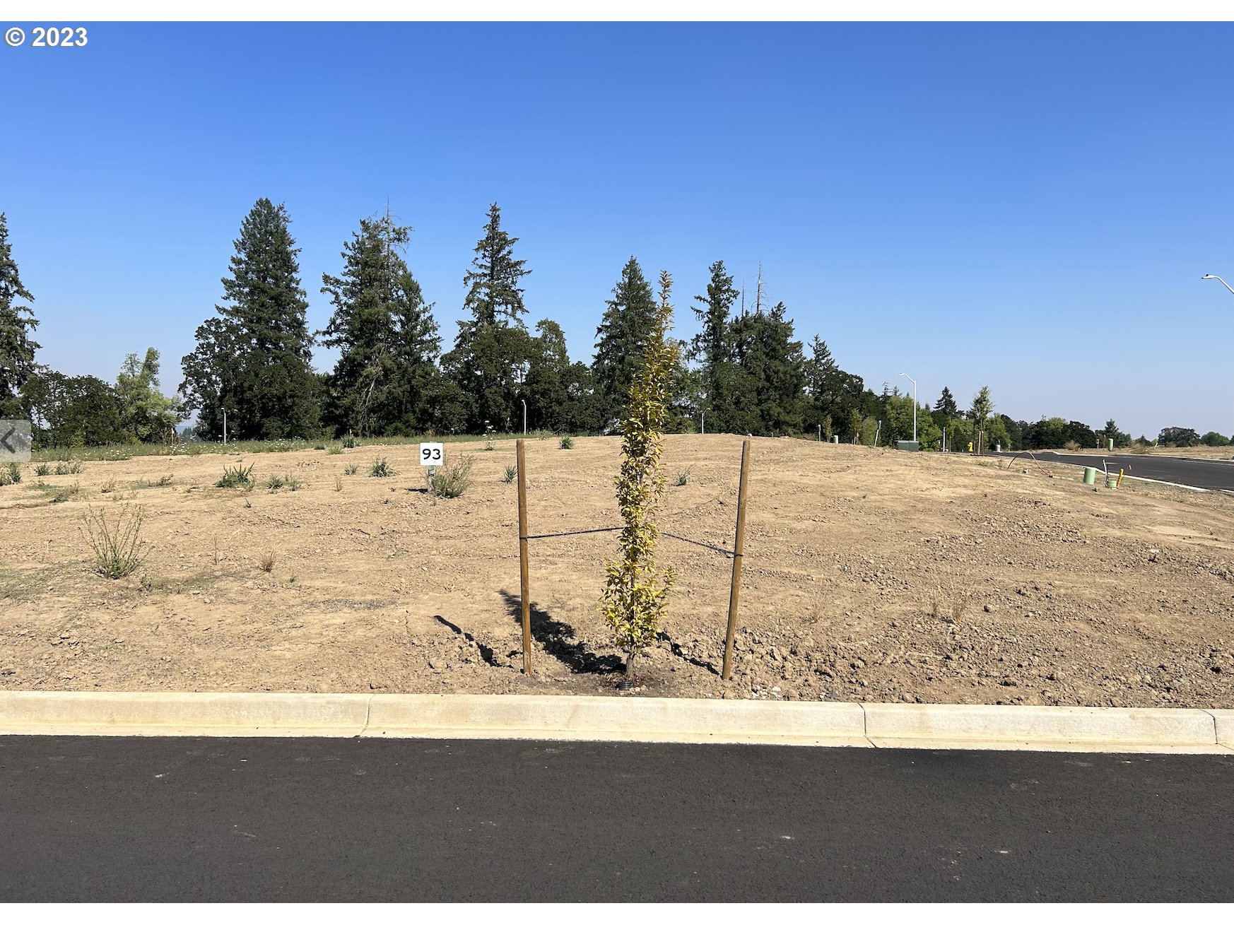 Mutts, Gold Beach, OR, 97444