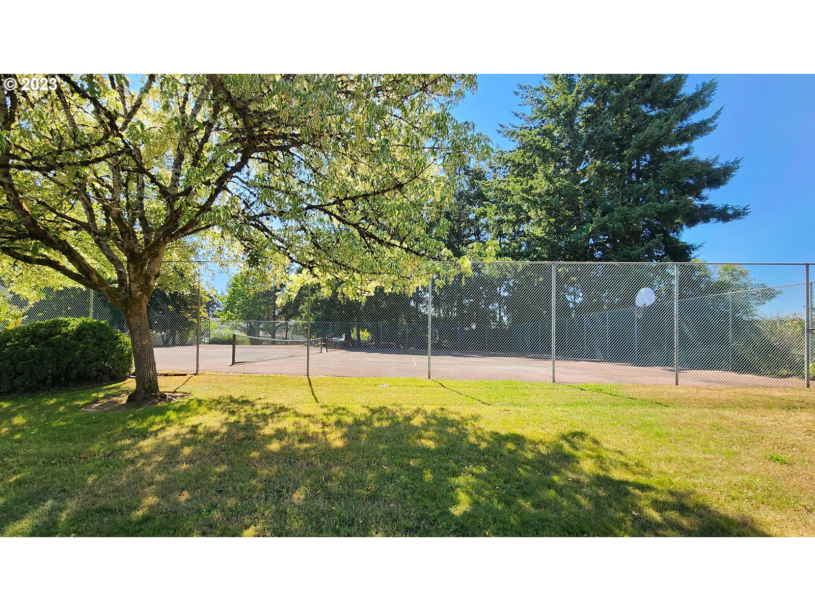 Photo #4: 23121255 Listing 