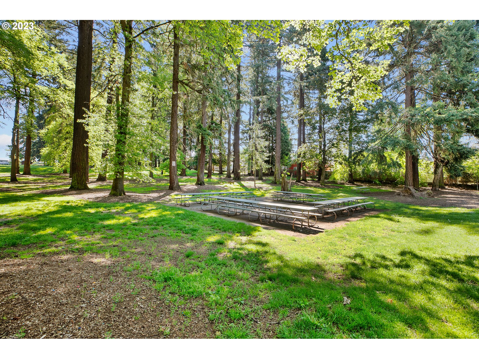 3771 SE 43rd AVE, Portland OR 97206 Harcourts North America