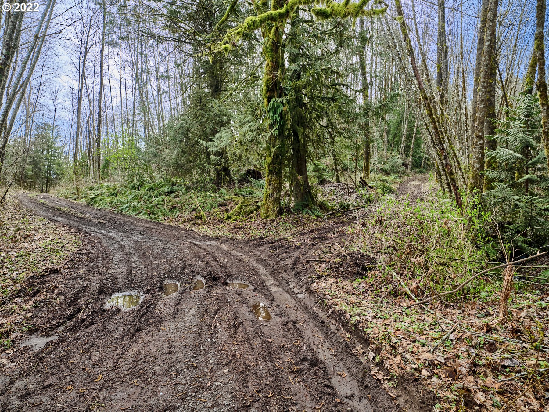 NE Cedar Creek Rd, Woodland, WA 98674