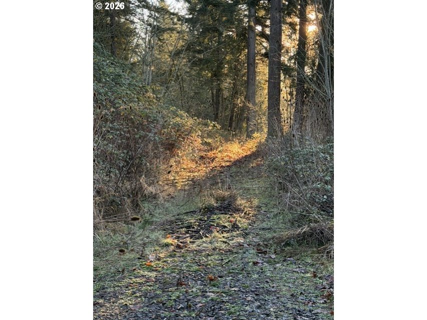 Search Homes for Sale