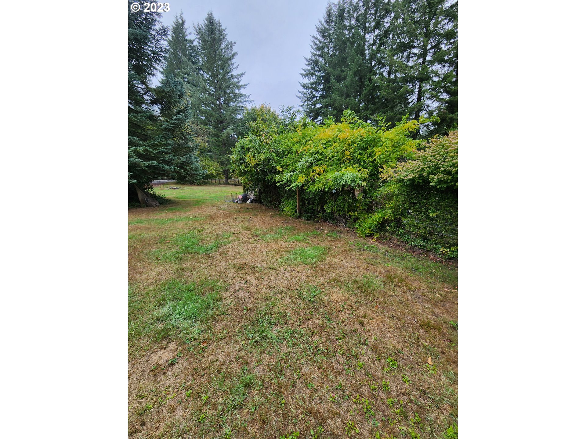 16727  Lewis River Rd, Cougar, WA 98616