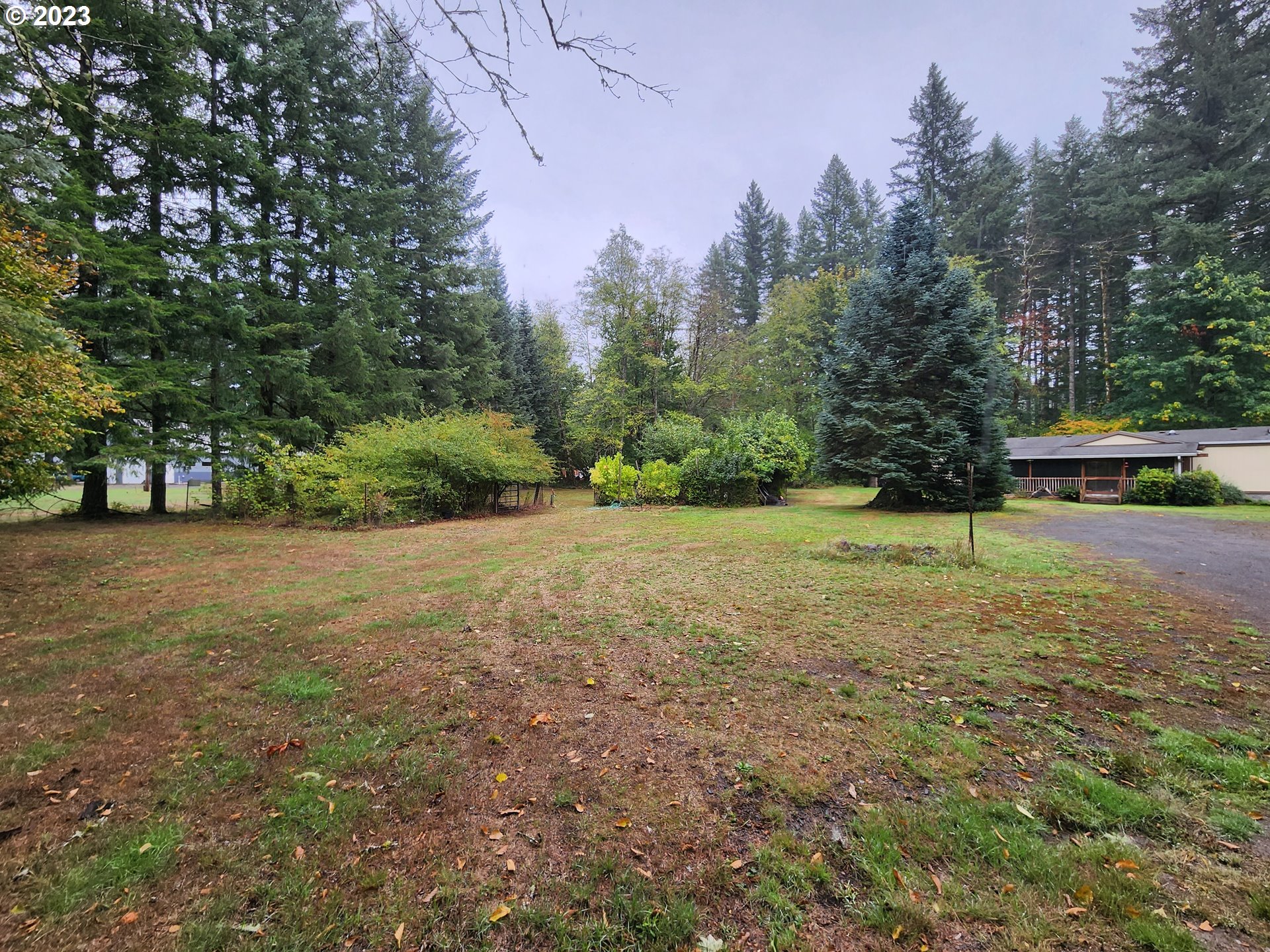 16727  Lewis River Rd, Cougar, WA 98616