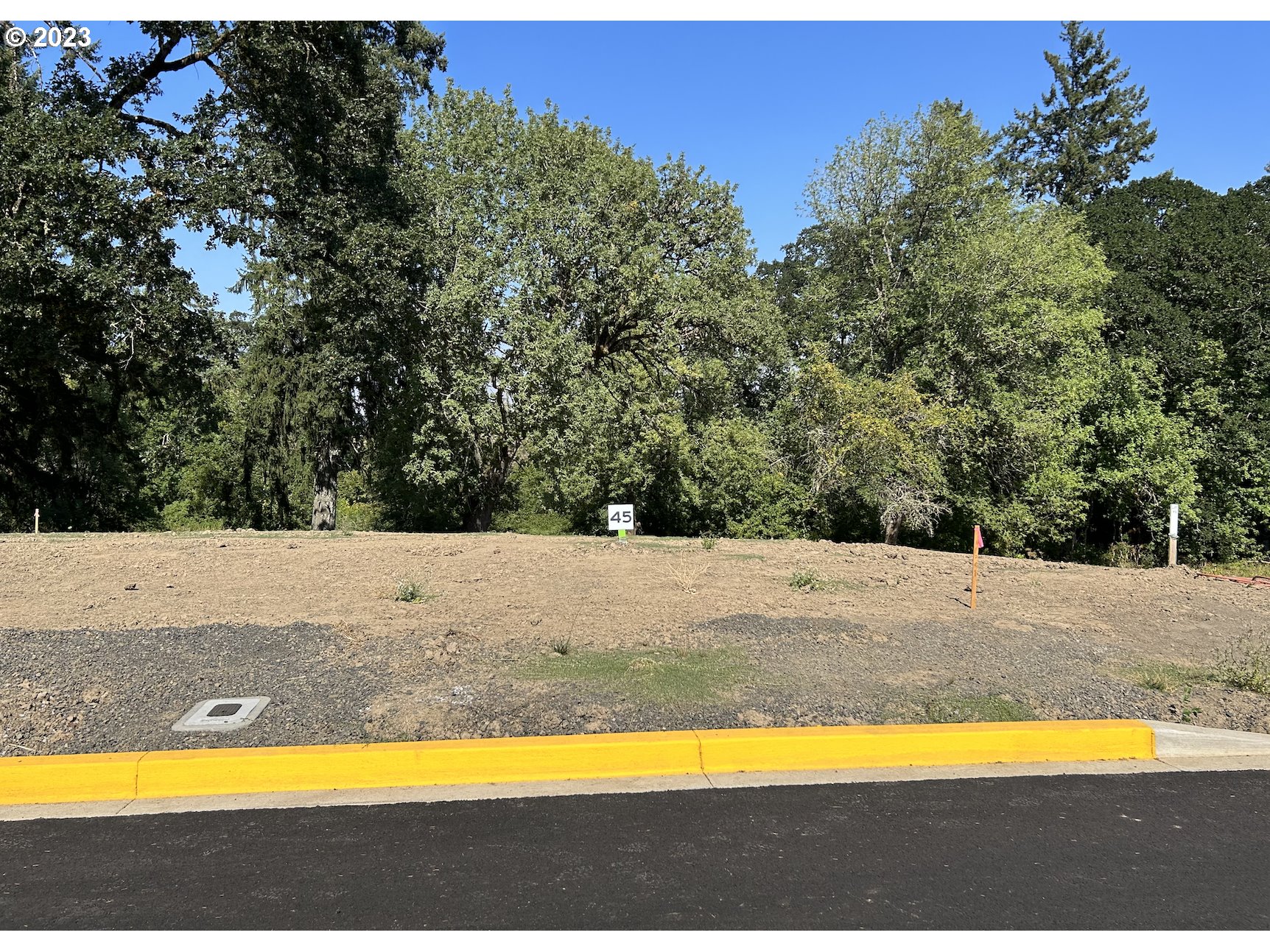 Search Homes for Sale