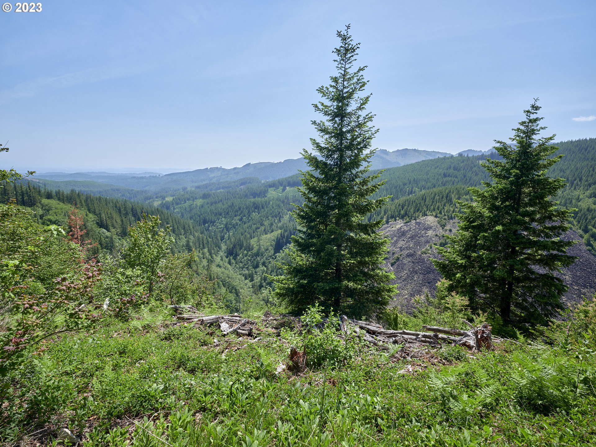  Snag Mountain Rd  #113, Washougal, WA 98671