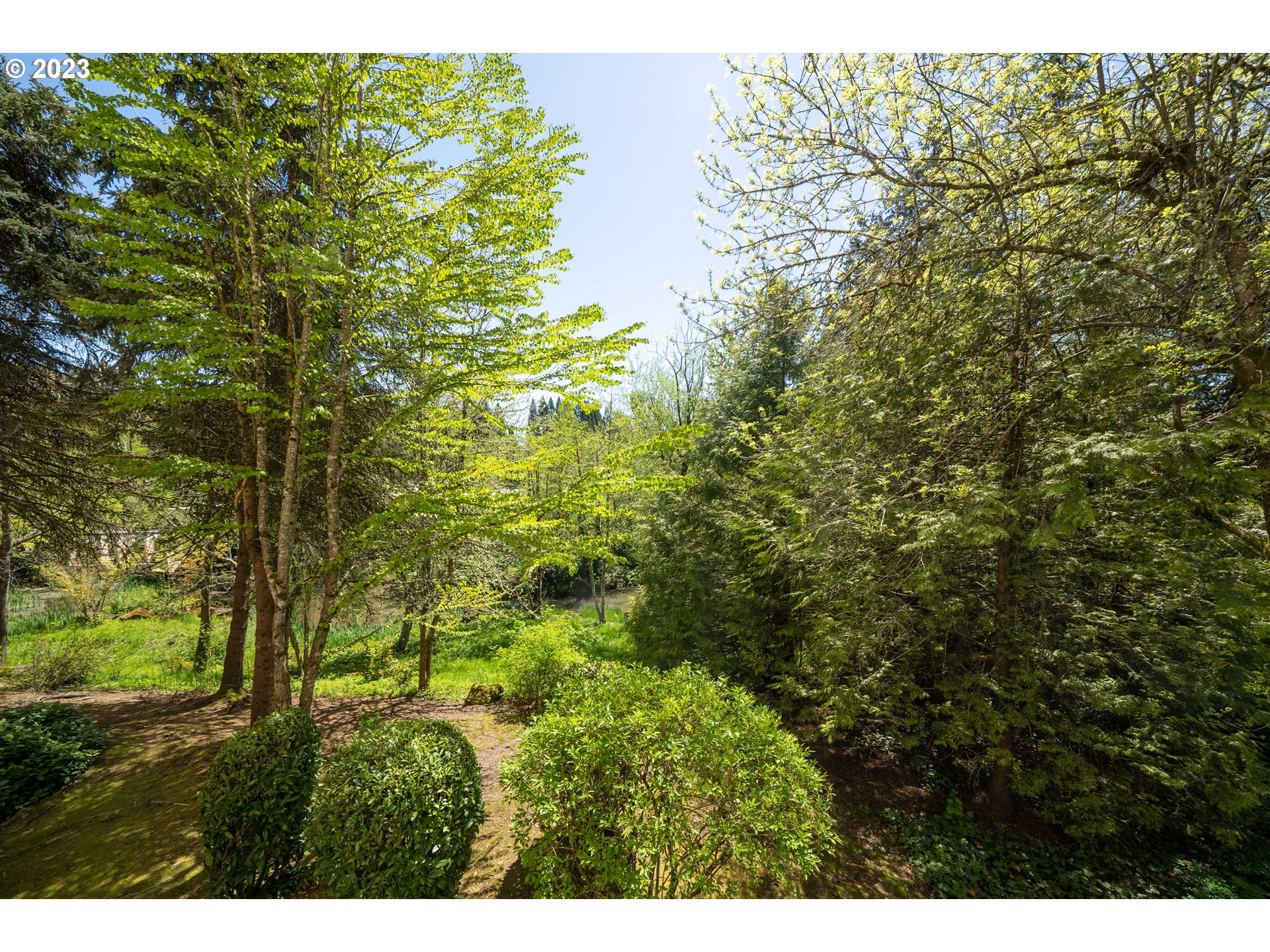 Photo #6: 23245420 Listing 